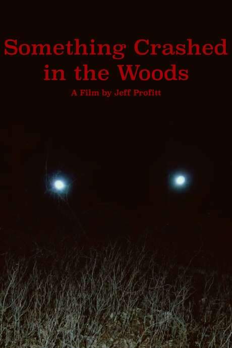 Something Crashed in the Woods
